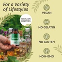 herbamama-goldenseal-root-capsules-700mg-5.jpg