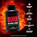sculpt-nation-by-v-shred-burn-evolve-20--2.jpg