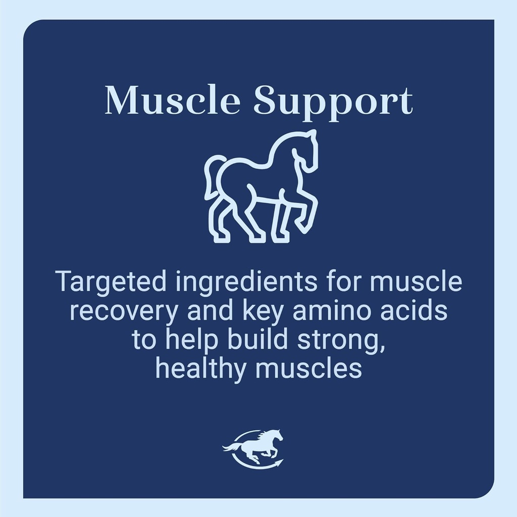 acetyl-l-carnitine-hcl-powder-horse-ener-4.jpg