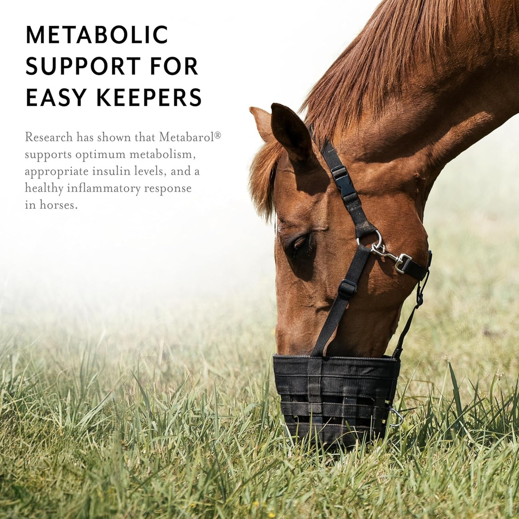 metabarol-horse-supplement-powder-with-r-4.jpg