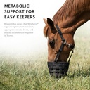 metabarol-horse-supplement-powder-with-r-4.jpg