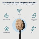 designs-for-health-phytotein-vegan-prote-3.jpg