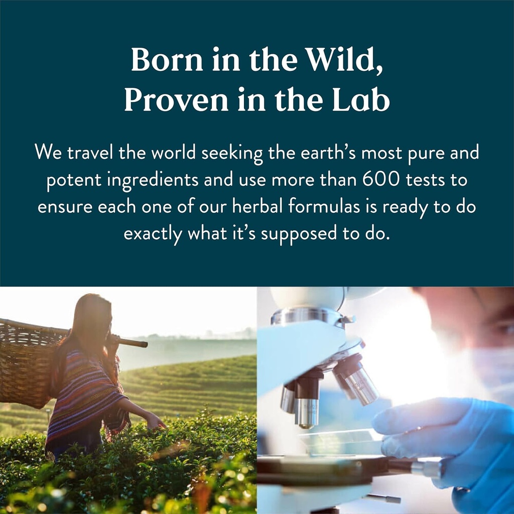 natures-sunshine-ginseng-korean-100-caps-2.jpg