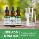 nutramedix-detox-support-bundle-sealantr-3.jpg
