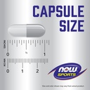 now-foods-sports-nutrition-sports-energy-4.jpg