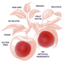 garden-of-life-organics-apple-cider-vine-6.jpg