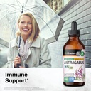 bio-krauter-astragalus-for-immune-suppor-2.jpg