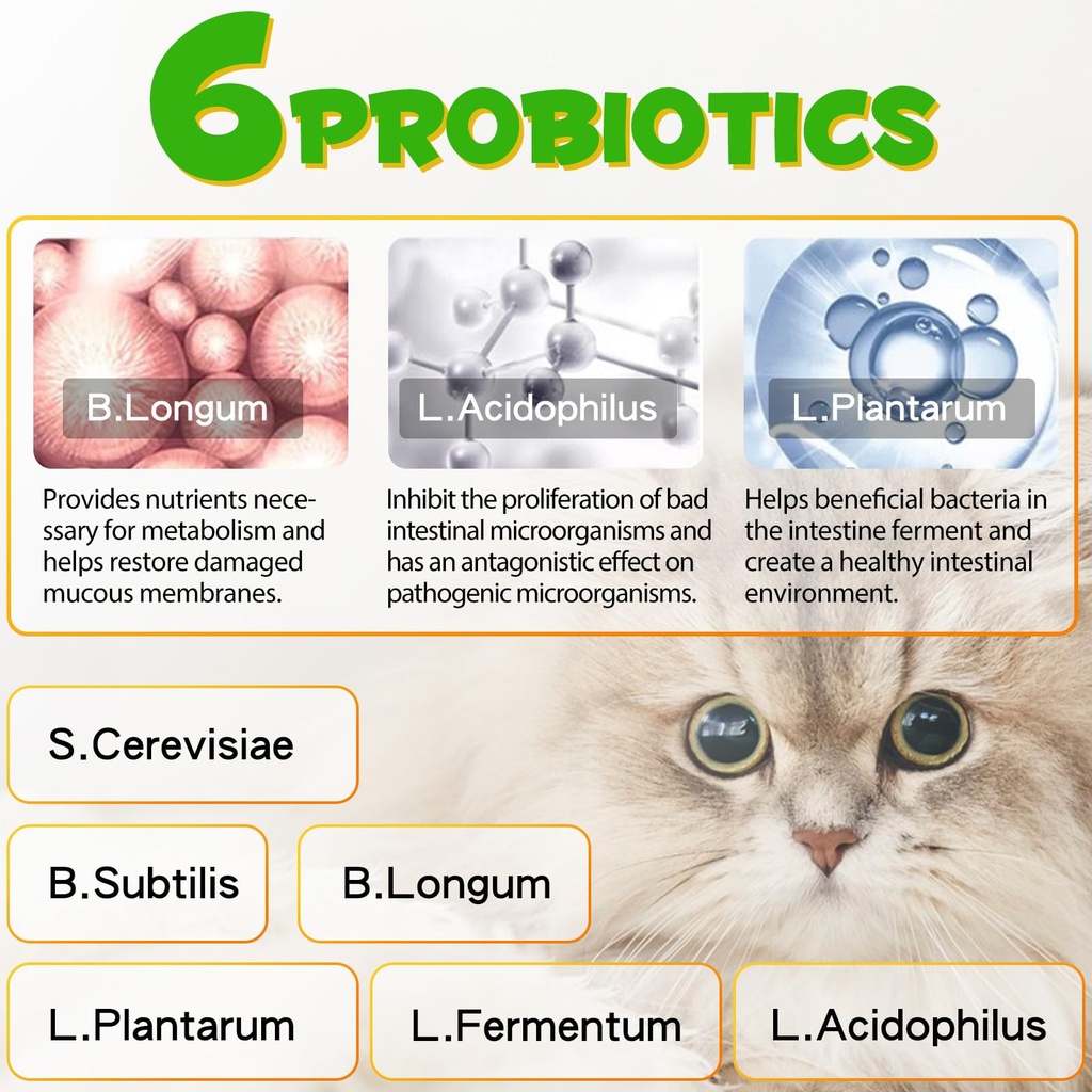 cat-constipation-relief-cat-laxative-con-4.jpg