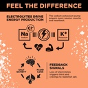 lmnt-zero-sugar-electrolytes-grapefruit--5.jpg