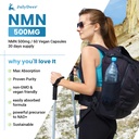 julydeer-nmn-500mg-max-absorbency-fast-a-3.jpg