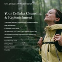 biopure-chlorella-pyrenoidosa-400-tablet-6.jpg