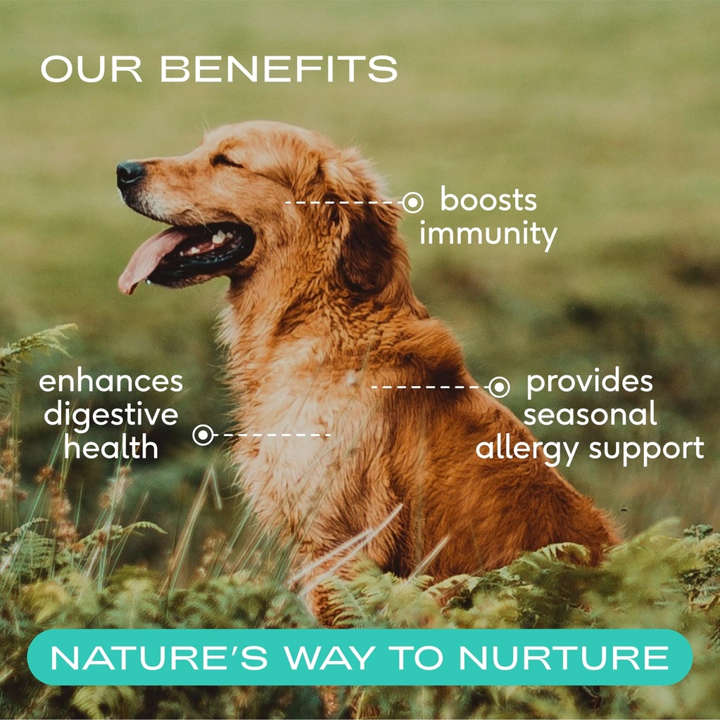 native-pet-colostrum-for-dogs-bovine-col-2.jpg