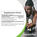 naturesplus-pro-quercetin-500-mg-60-caps-4.jpg