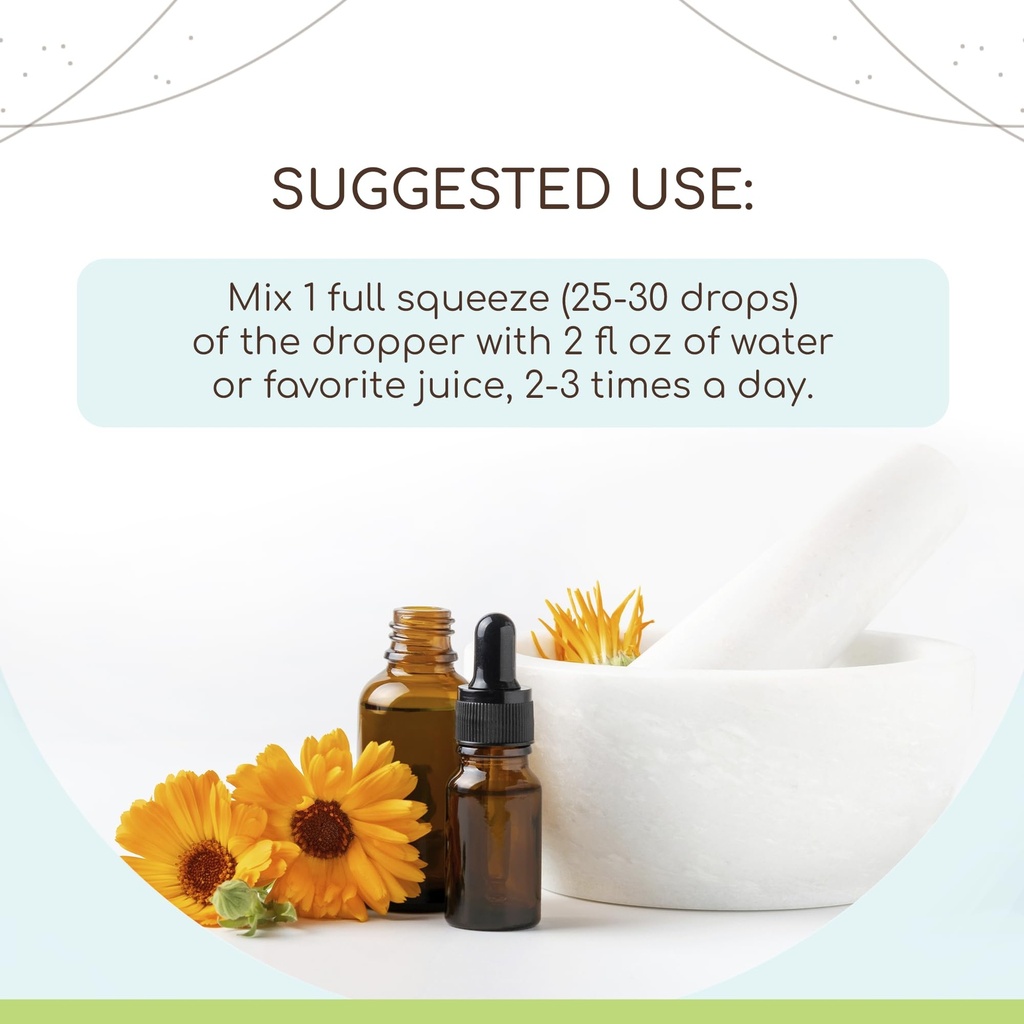 herbera-greater-celandine-b60-alcohol-fr-2.jpg