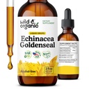 Wild & Organic Echinacea Goldenseal Liquid Drops - Immune Support Supplement w/Goldenseal Echinacea Root Extract - Vegan, Sugar & Alcohol-Free Tincture - 2 fl oz
