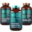 WILD FUEL Amino Acids, HMB and Fadogia Agrestis Complex Power & Potential Bundle