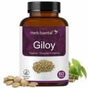 Herb Essential Giloy Tablets 500Mg 60 Count, Ayurvedic Herbal Supplement