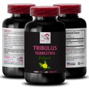 Tribulus for Athletes - TRIBULUS TERRESTRIS Extract - Pure Tribulus Extract, Natural Tribulus, Tribulus Terrestris Capsules, Tribulus Powder, Tribulus for Energy, Tribulus Extract - 1 Bot 60 Caps