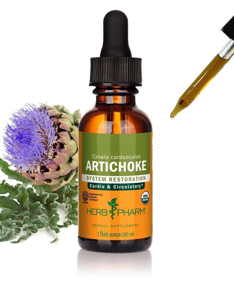 Herb Pharm Artichoke Liquid Herbal Extract: Organic Artichoke Leaf for Cardiovascular, Circulatory, & Digestive Support, Liver Support | Gluten-Free, Vegan, Non-GMO, Up to ~3 Weeks Supply, 1 oz*