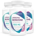 KoNefancy Berberine HCL Supplement 1500mg - High Bioavailability Liposomal Berberine Capsules for Women and Men, AMPK Activator, Non-GMO, Sugar-Free,180 Softgels