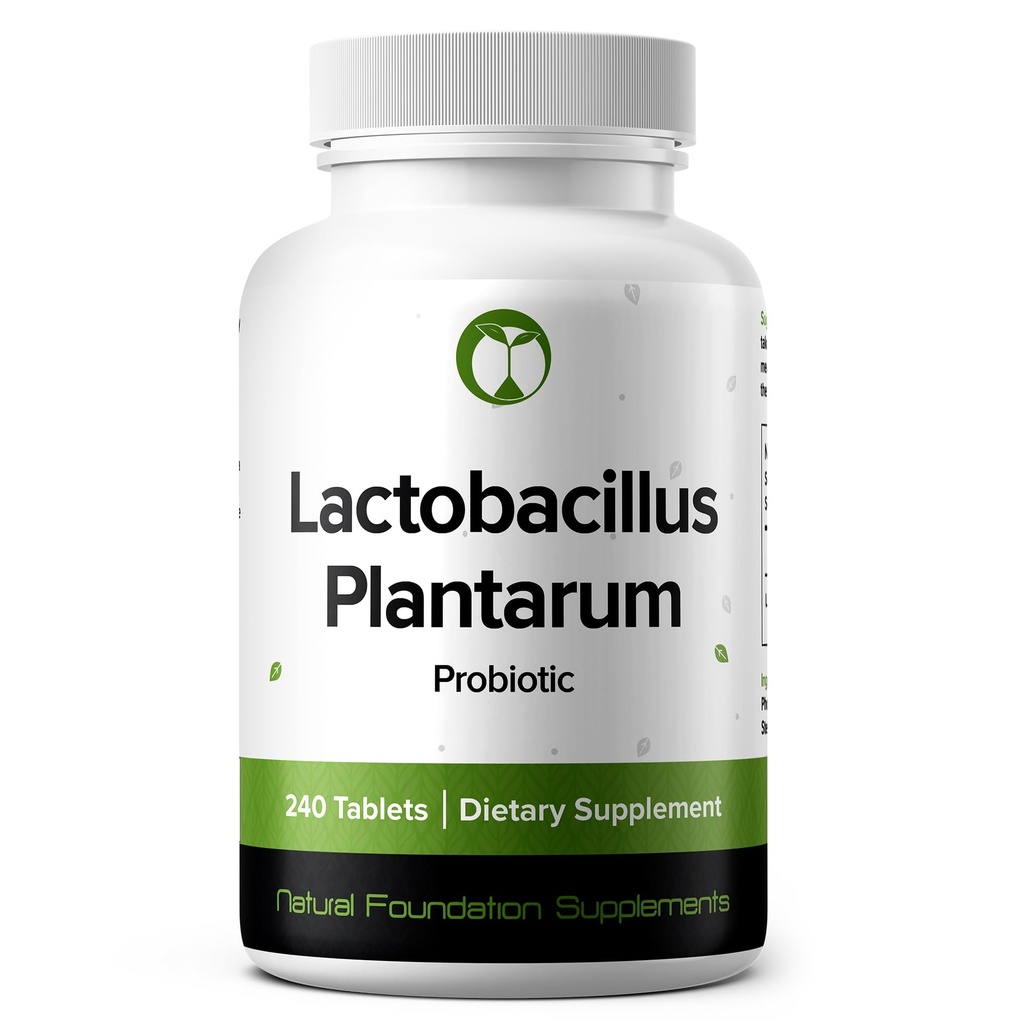 Lactobacillus Plantarum Probiotic 240 Tablets (4 Month Supply) – Researched Strain LP90 – 3 Billion CFU – Digestive Health & Gut Comfort – GMP Certified (240, Lactobacillus Plantarum)