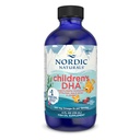 Nordic Naturals Children's Dha For Omega 3 | Fish Oil For Kids 530Mg From Arctic Cod Liver Oil | Omega 3 Fish Oil Epa & Dha For Kids For Brain Development & Immunity | Strawberry Flavour 4 Floz 119 Ml