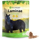 Laminae Hoof Supplements for Horses - 1 lb | Hoof Supplements for Horses, White Willow Bark & Devil's Claw, Laminitis & Founder Support, NASC Certified, Made in USA