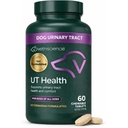 VetriScience Quick Action UT Health Chewable Tablets, UT Strength STAT Supplement for Dogs, Cranberry, Uva Ursi, and Chanca Piedra to Soothe Urinary Tract Discomfort, Smoke, 90 Count