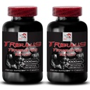 Energy Rejuvenation - TRIBULUS TERRESTRIS Extract - Active Support Formula, Natural Power Source, Stamina Boost Formula, Muscle Enhancement, Energy and Strength, Physical Performance 2Bot 180Tabs