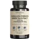 VINATURA Caralluma Fimbriata, EGCG 45% Extract 1250mg + Fucoxanthin 3mg per Serving *USA Made & Tested* for Immune Support, Energy and Mental Focus - 60 Capsules 30 Servings