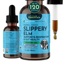 Animal Essentials Slippery Elm - Slippery Elm Bark Anti Diarrhea Drops for Dogs and Cats, Organic Herbal Extract for Healthy Gut, Digestive & Throat Support, Helps Acid Reflux, Liquid Formula- 1 fl oz